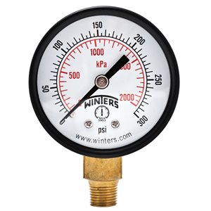 2" x 1 / 8" NPT BTM 0-300 PSI / KPA