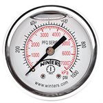 2'' x 1 / 4'' NPT BCK SS, 0-1,000 PSI / KPA, GLYCERIN FILLED