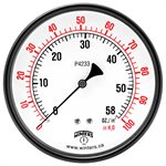 4'' 0-100'' WATER / OZ 1 / 4'' BRASS BACK