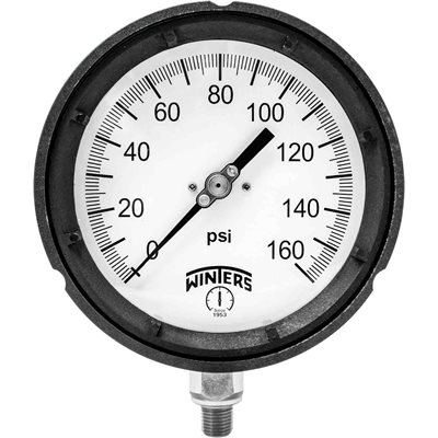 PROCESS 0 / 160 PSI 1 / 4" NPT ST / ST