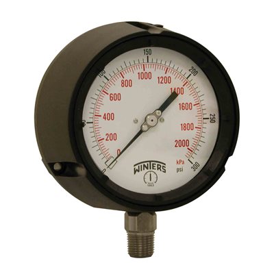 PROCESS 0 / 300 PSI / KPA 1 / 2'' NPT ST / ST
