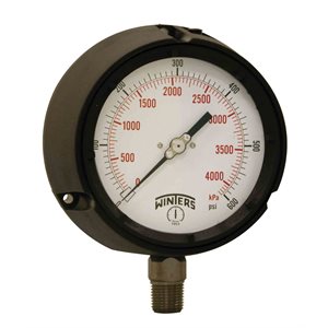 PROCESS 0 / 600 PSI / KPA 1 / 2" NPT ST / ST