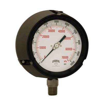 PROCESS 0 / 10,000 PSI / KPA 1 / 2" NPT ST / ST