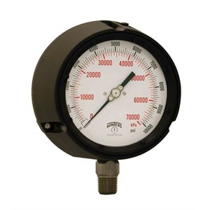 PROCESS 0 / 10,000 PSI / KPA 1 / 2" NPT ST / ST